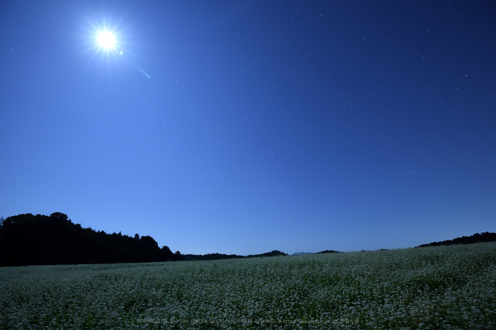 ニコン Nikon D850 を使ってみました。 ／ 奈良 桜井 笠 蕎麦の里 2017